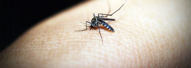 Quel est le tarif d'un anti-moustique pour bébé en pharmacie ?