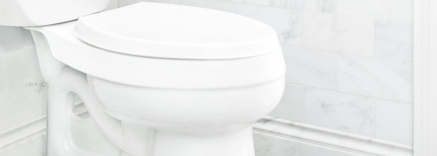 Quelles sont les astuces pour enlever le tartre des WC ?