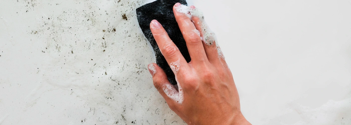 Comment se débarrasser de la moisissure sur le plafond ?